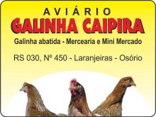 AVIÁRIO GALINHA CAIPIRA