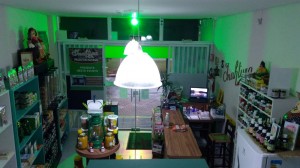 0b47fe74-ec43-419e-bd98-9d32c5c1681c