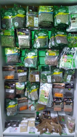 d921692d-94e7-4950-a836-079ed48fe416