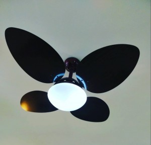 83215162_2634292379981698_1130572530612961280_o