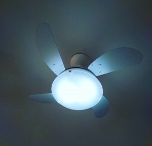 83427791_2634292446648358_4032466574270005248_o