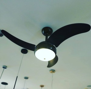 83600540_2634292523315017_5985768600424677376_o